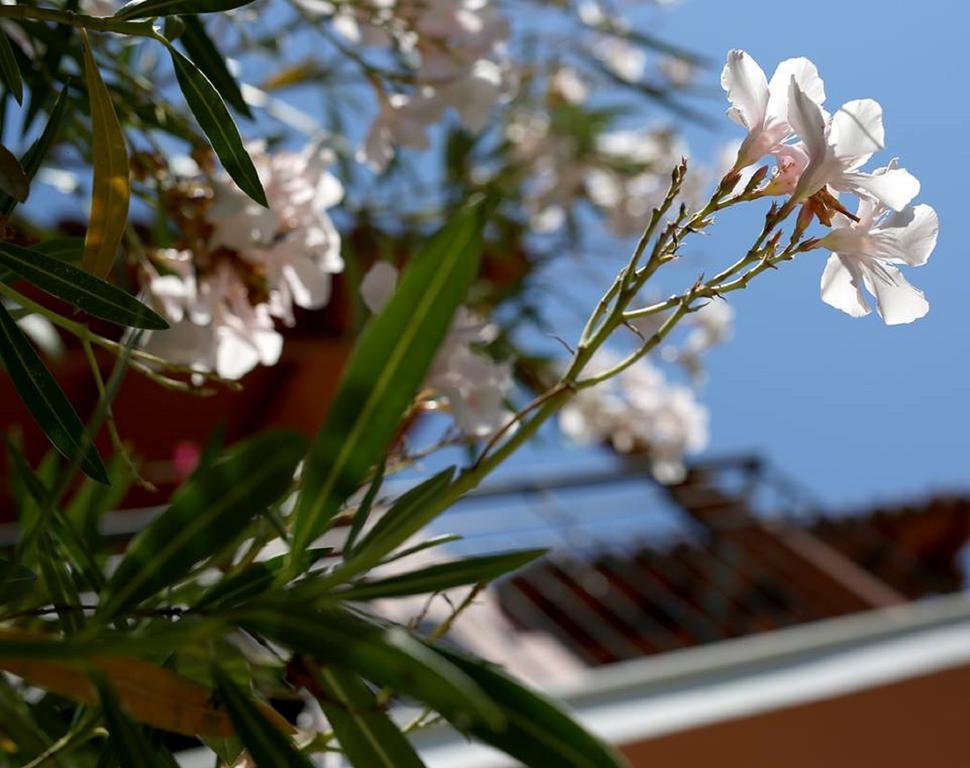 Vassilis Studio's Perivólion Esterno foto